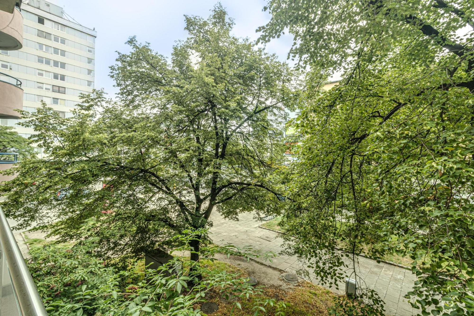 Rentplanet - Apartament Kosciuszki Wroclaw Ngoại thất bức ảnh